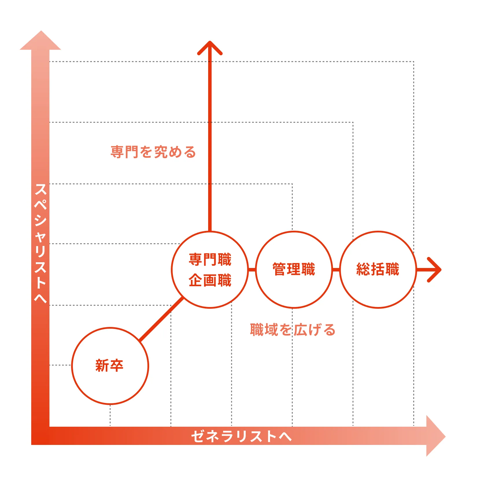 スペシャリストとゼネラリスト、2方向のキャリアパスを示す図